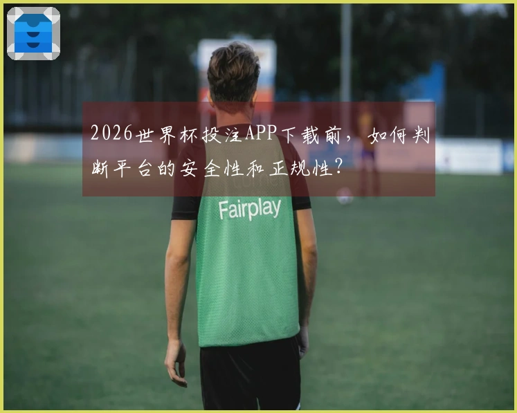 2026世界杯投注APP下载前，如何判断平台的安全性和正规性？