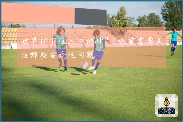 世界杯下注入口的APP下载前需要关注哪些安全性问题