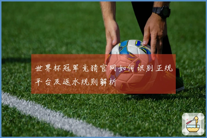 世界杯冠军竞猜官网如何识别正规平台及返水规则解析
