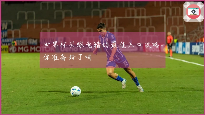 世界杯买球竞猜的最佳入口攻略，你准备好了吗