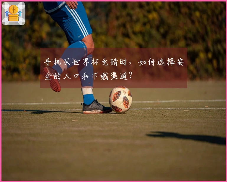 手机买世界杯竞猜时，如何选择安全的入口和下载渠道？