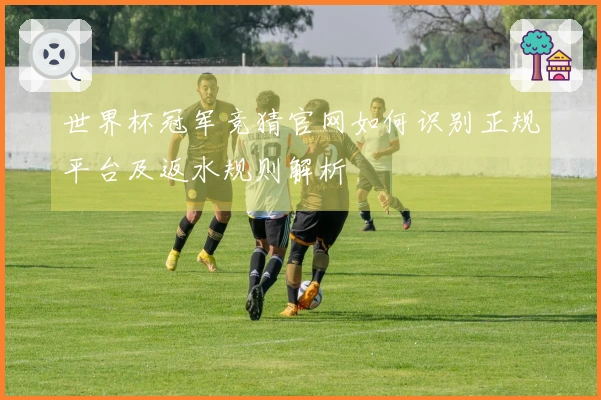 世界杯冠军竞猜官网如何识别正规平台及返水规则解析