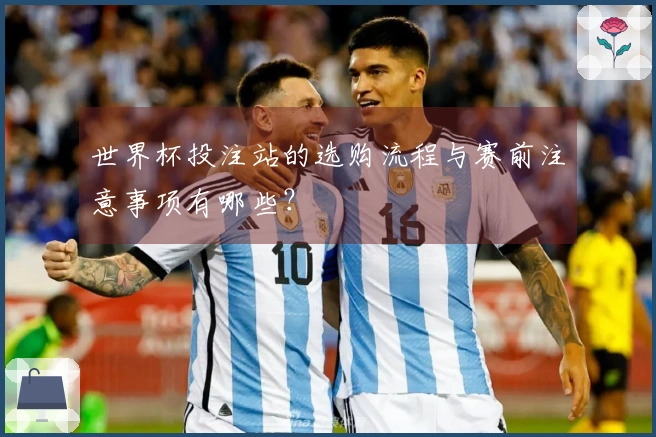 世界杯投注站的选购流程与赛前注意事项有哪些？