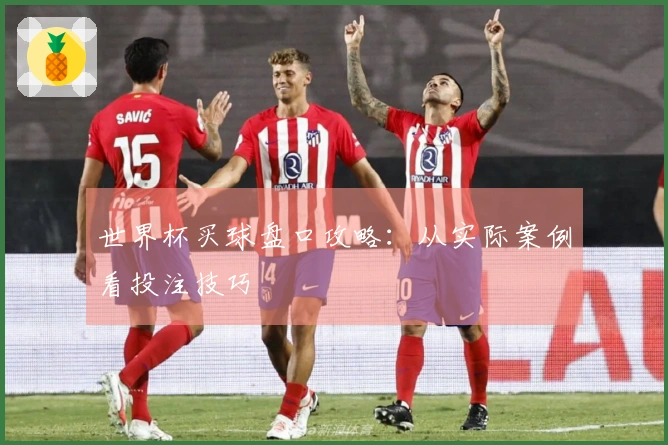 世界杯买球盘口攻略：从实际案例看投注技巧