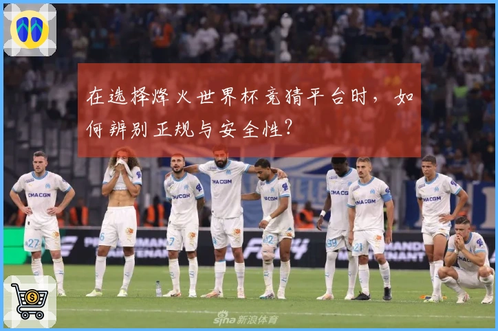 在选择烽火世界杯竞猜平台时，如何辨别正规与安全性？