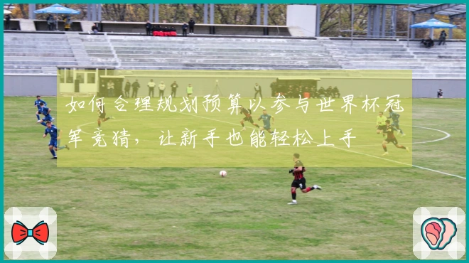 如何合理规划预算以参与世界杯冠军竞猜，让新手也能轻松上手