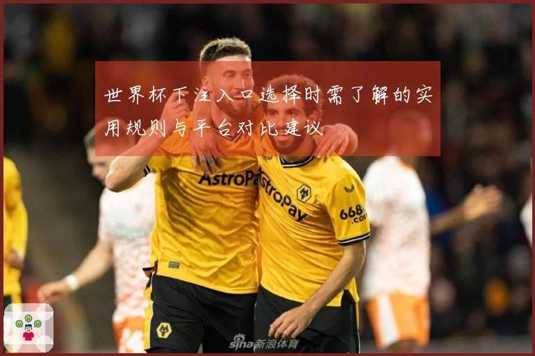 世界杯下注入口选择时需了解的实用规则与平台对比建议