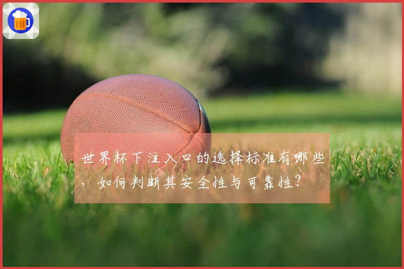 世界杯下注入口的选择标准有哪些，如何判断其安全性与可靠性？