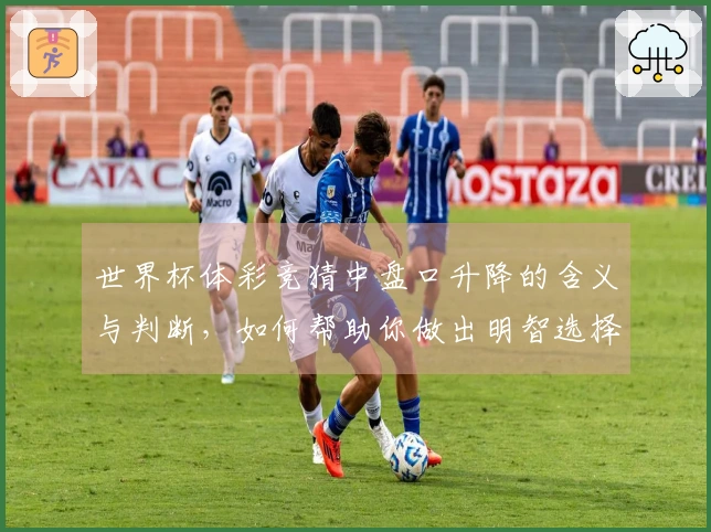 世界杯体彩竞猜中盘口升降的含义与判断，如何帮助你做出明智选择