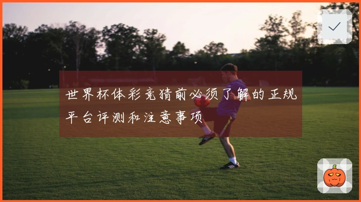 世界杯体彩竞猜前必须了解的正规平台评测和注意事项