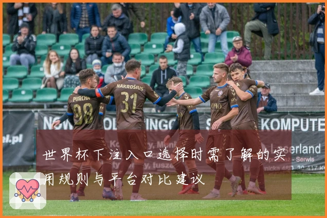 世界杯下注入口选择时需了解的实用规则与平台对比建议