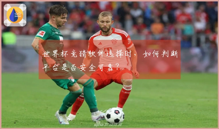 世界杯竞猜软件选择时，如何判断平台是否安全可靠？