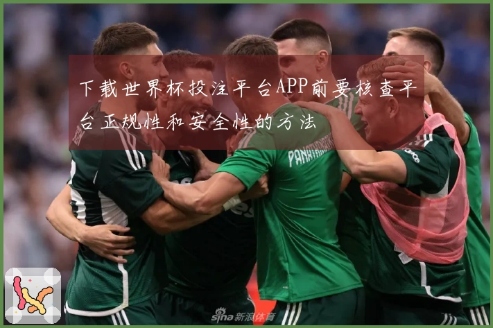 下载世界杯投注平台APP前要核查平台正规性和安全性的方法