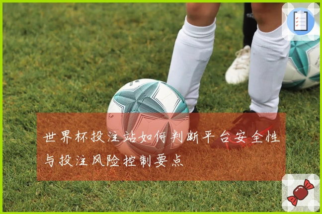 世界杯投注站如何判断平台安全性与投注风险控制要点