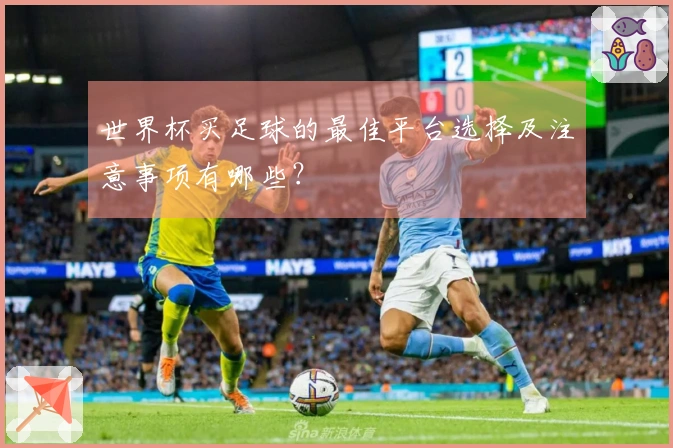 世界杯买足球的最佳平台选择及注意事项有哪些？