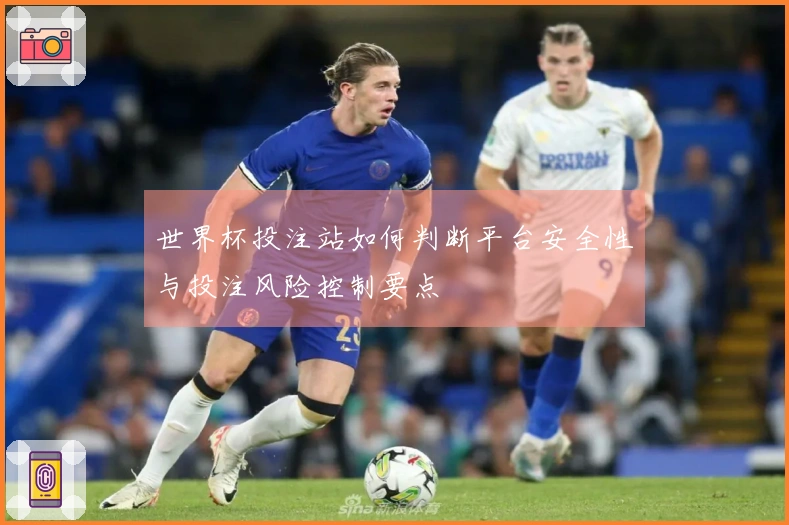 世界杯投注站如何判断平台安全性与投注风险控制要点