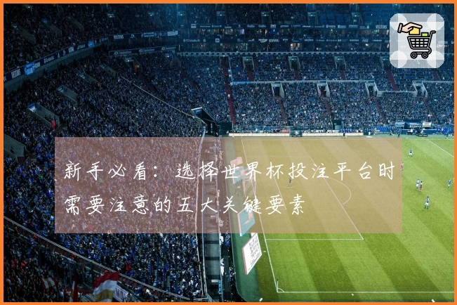 新手必看：选择世界杯投注平台时需要注意的五大关键要素