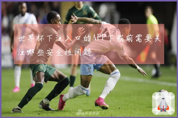 世界杯下注入口的APP下载前需要关注哪些安全性问题