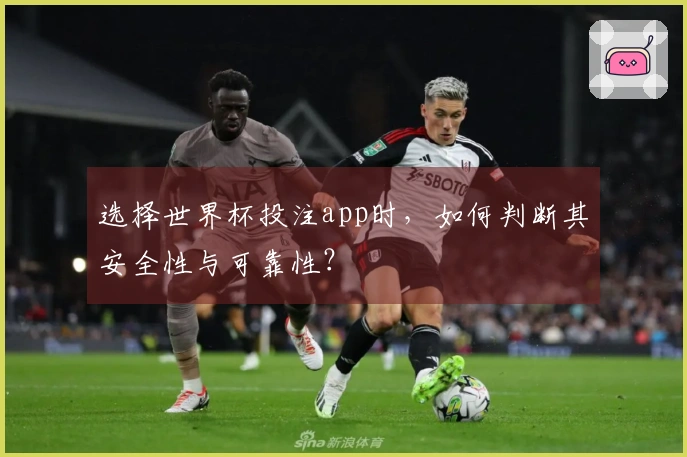 选择世界杯投注app时，如何判断其安全性与可靠性？