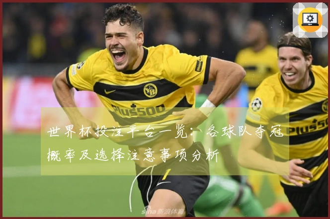 世界杯投注平台一览：各球队夺冠概率及选择注意事项分析