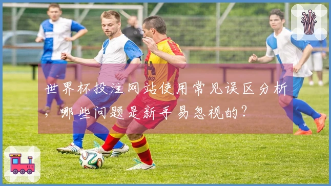 世界杯投注网站使用常见误区分析，哪些问题是新手易忽视的？