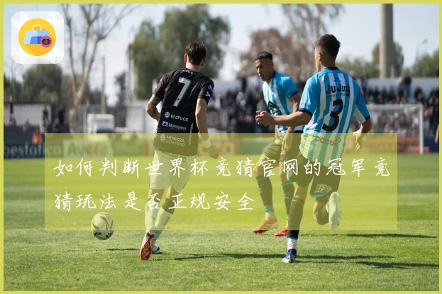 如何判断世界杯竞猜官网的冠军竞猜玩法是否正规安全