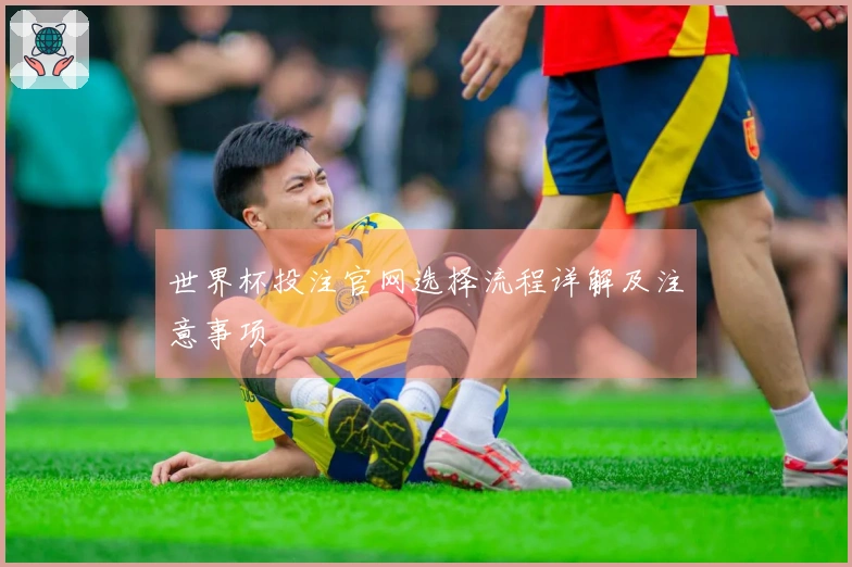 世界杯投注官网选择流程详解及注意事项