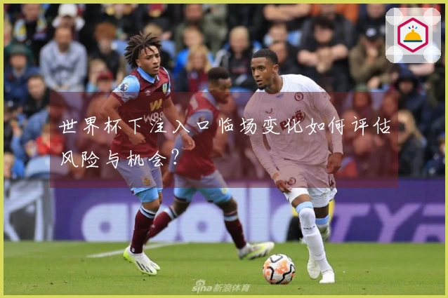 世界杯下注入口临场变化如何评估风险与机会？