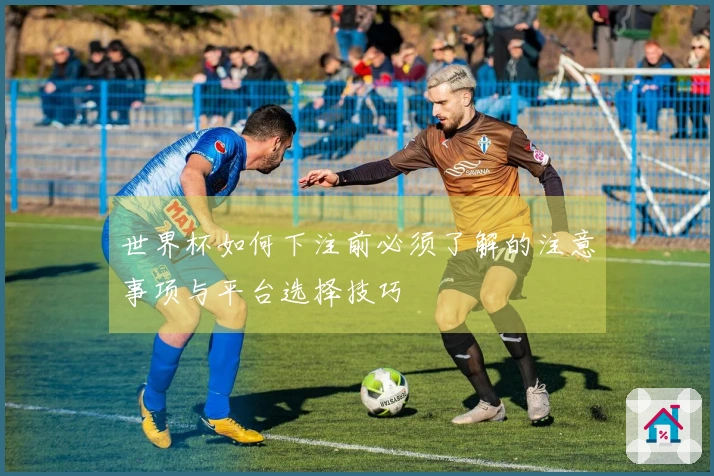 世界杯如何下注前必须了解的注意事项与平台选择技巧