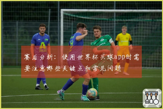 赛后分析：使用世界杯买球app时需要注意哪些关键点和常见问题