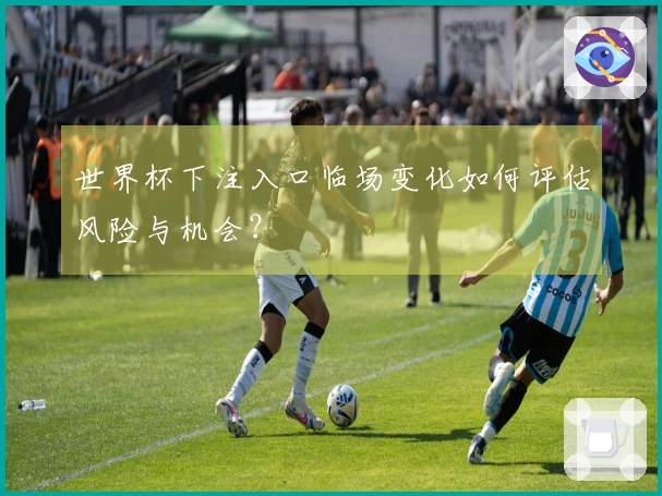 世界杯下注入口临场变化如何评估风险与机会？