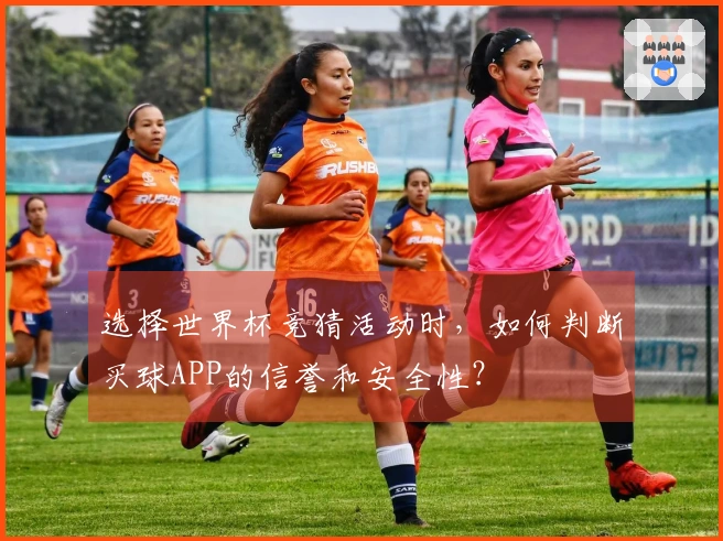 选择世界杯竞猜活动时，如何判断买球APP的信誉和安全性？