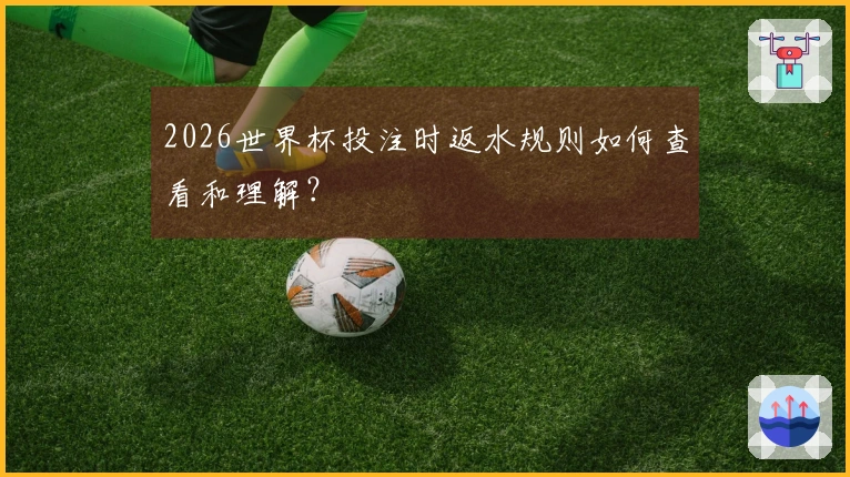 2026世界杯投注时返水规则如何查看和理解？