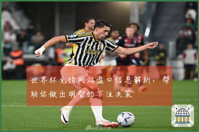 世界杯竞猜网站盘口信息解析，帮助你做出明智的下注决策