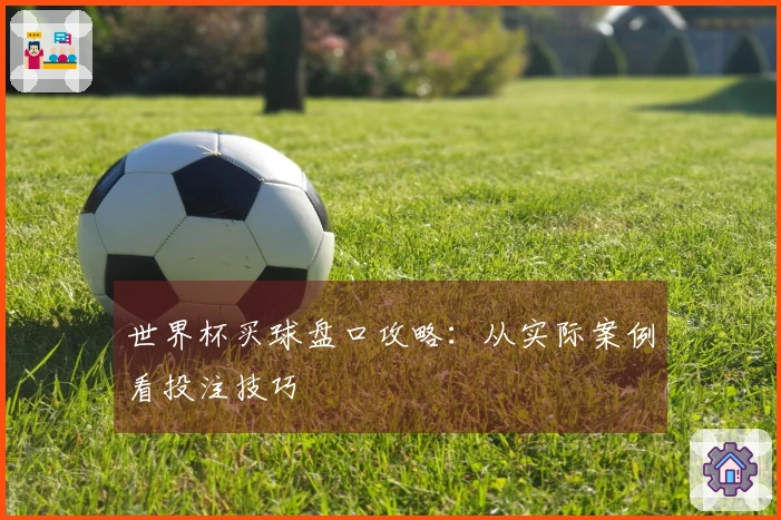 世界杯买球盘口攻略：从实际案例看投注技巧