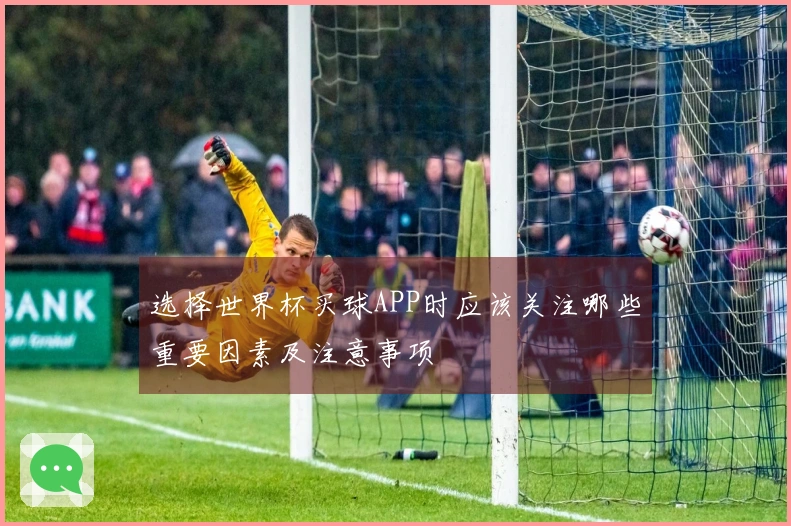 选择世界杯买球APP时应该关注哪些重要因素及注意事项