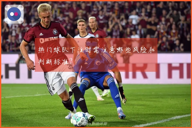 热门球队下注时需注意哪些风险和判断标准？
